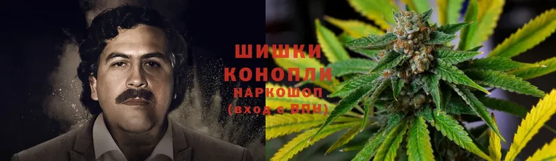 Магазин наркотиков Донской Cocaine  A PVP  Псилоцибиновые грибы  Метадон  Канабис  Меф мяу мяу 