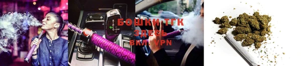 сатива Нефтекумск