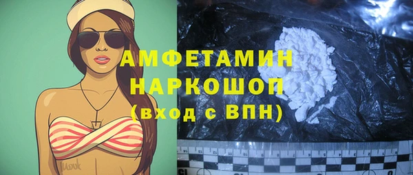 сатива Нефтекумск