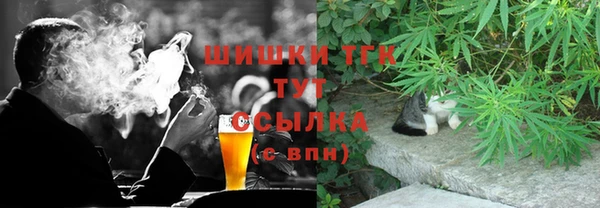 сатива Нефтекумск