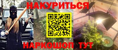 шишки Гатчина