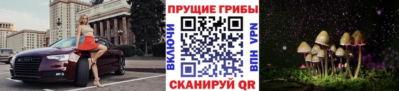 купить закладку  Донской  Галлюциногенные грибы Cubensis 