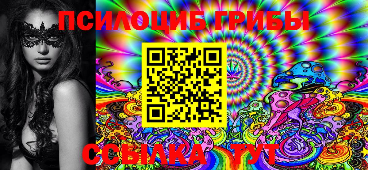 Галлюциногенные грибы MAGIC MUSHROOMS  Вход с VPN  Донской  Галлюциногенные грибы GOLDEN TEACHER 