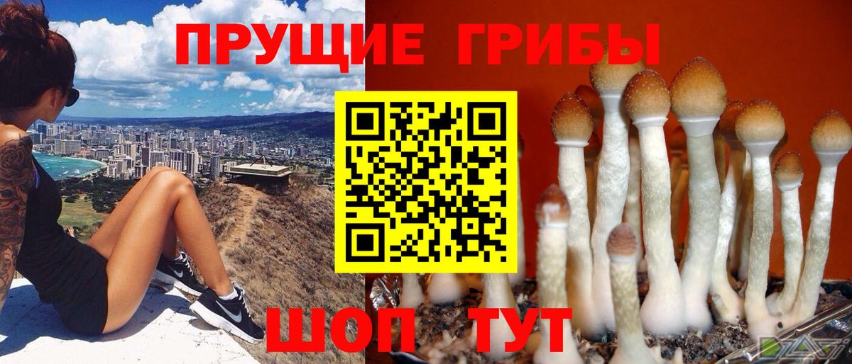 Псилоцибиновые грибы мухоморы Донской