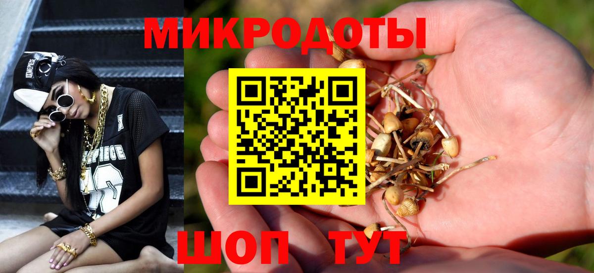 Галлюциногенные грибы GOLDEN TEACHER  Донской 