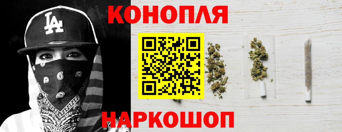 Каннабис планчик Донской